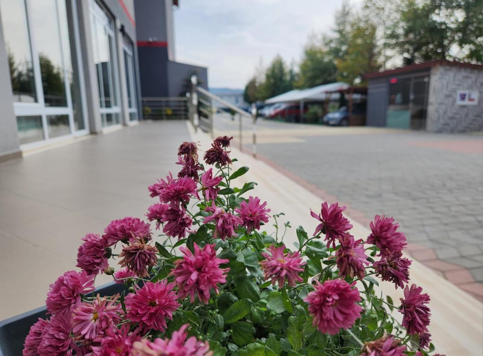 Kompleksi Cfn Albania Bucimas Exterior foto